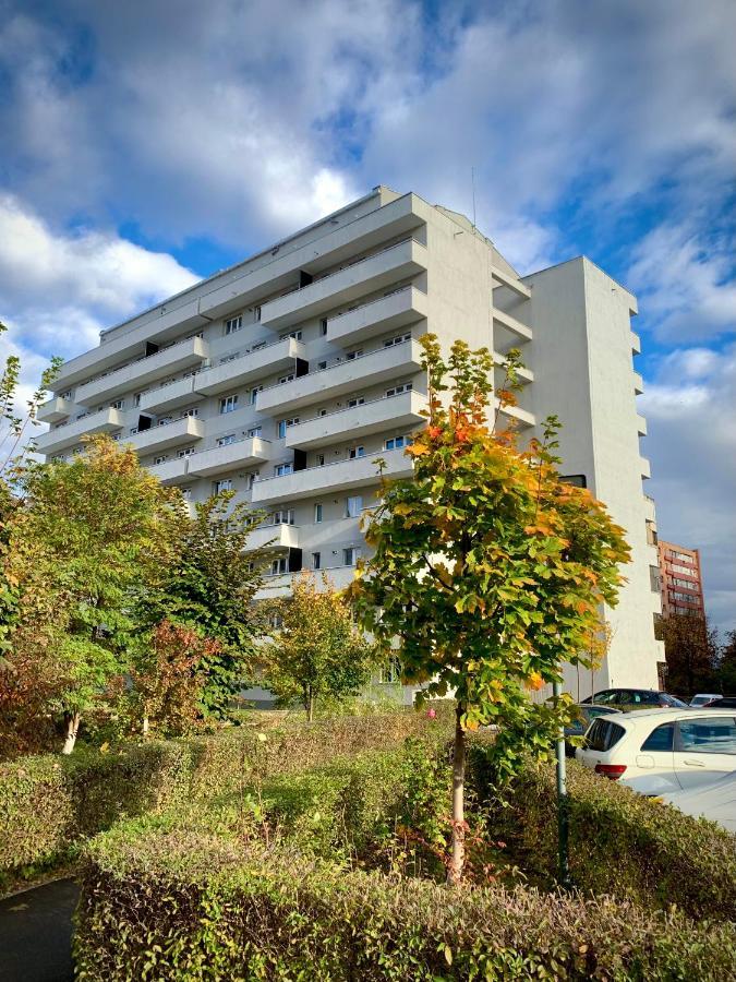 Blue Mountain Residence 브라쇼브 외부 사진