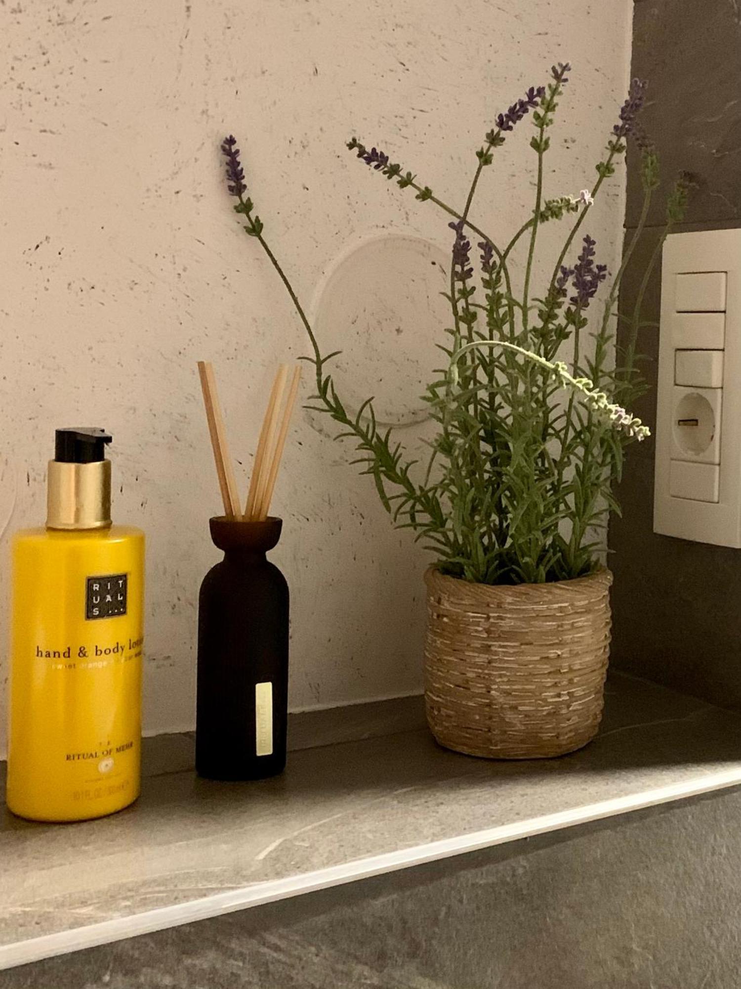 Blue Mountain Residence 브라쇼브 외부 사진